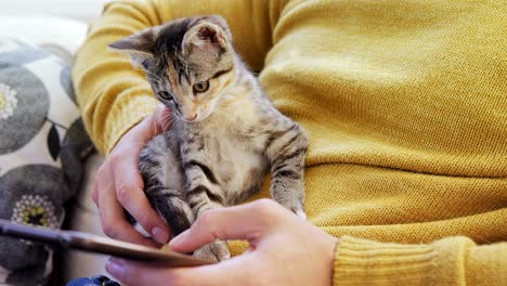 young man sitting on sofa showing tablet to his pet cat at home 4k 4k