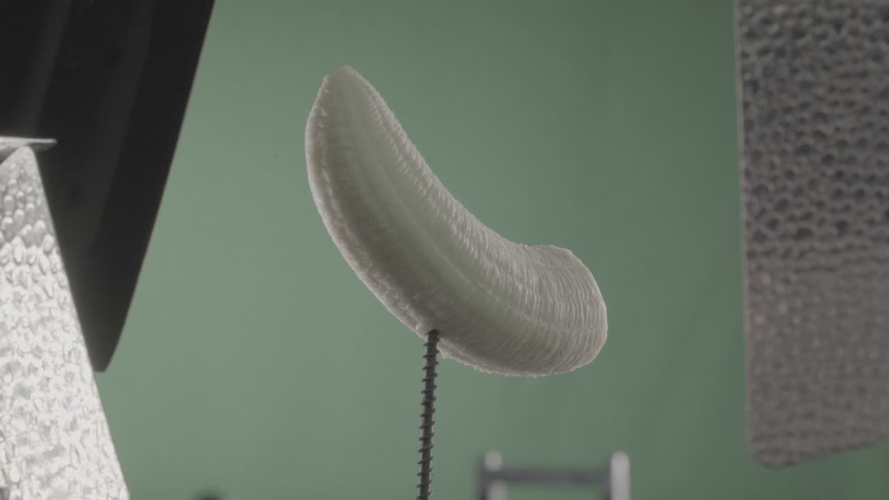 크로마 키를 위해 녹색 화면에 루프와 함께 바나나 회전