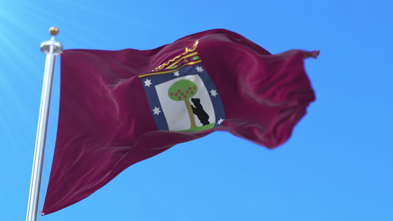 스페인 마드리드 시의 국기 (스페인어: bandera de la ciudad de madrid) 는 스페인 마드리드의 국기이다.