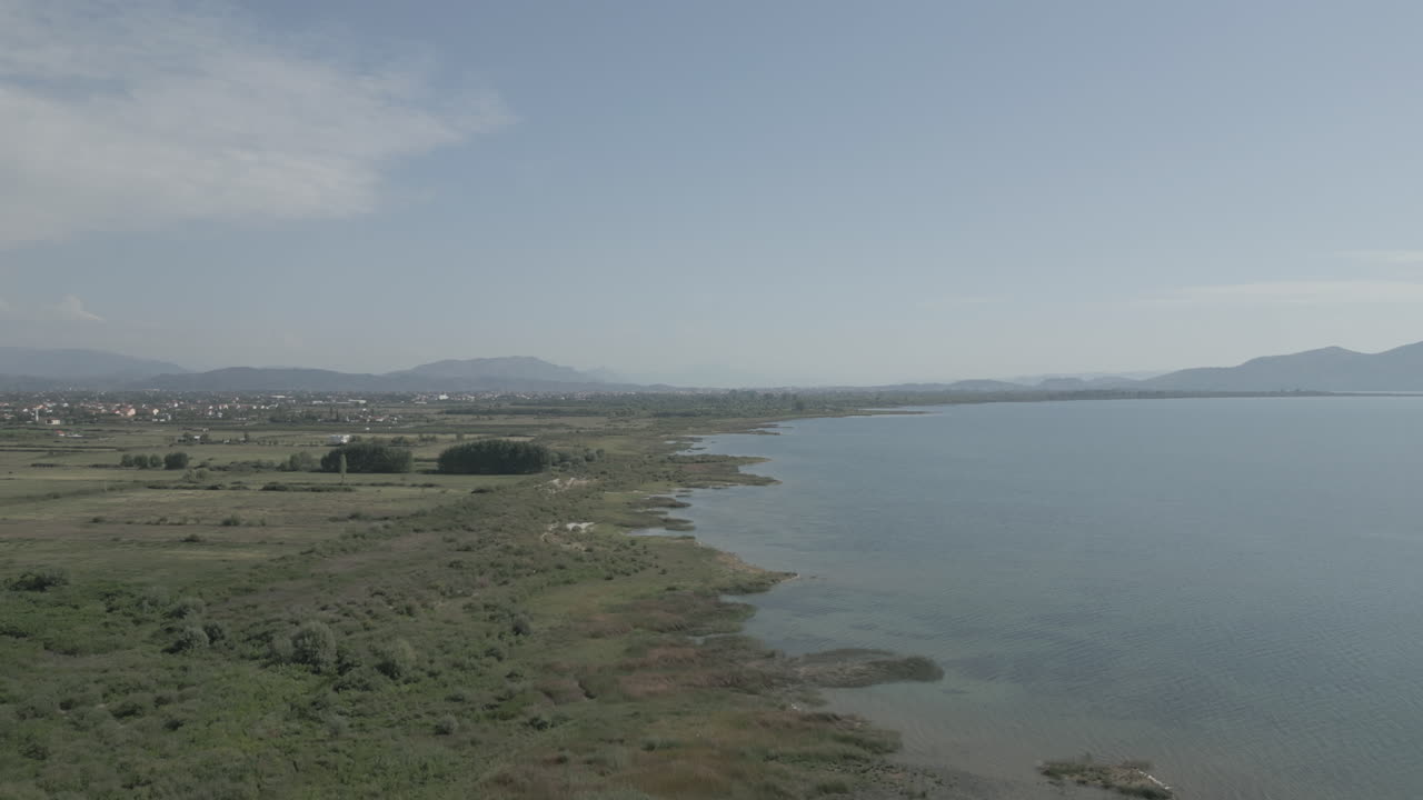 drone filmado volando sobre el lago shkodra en albania con montañas en el fondo y plantas verdes hierba naturaleza por debajo en un día soleado con niebla por encima del tronco del lago