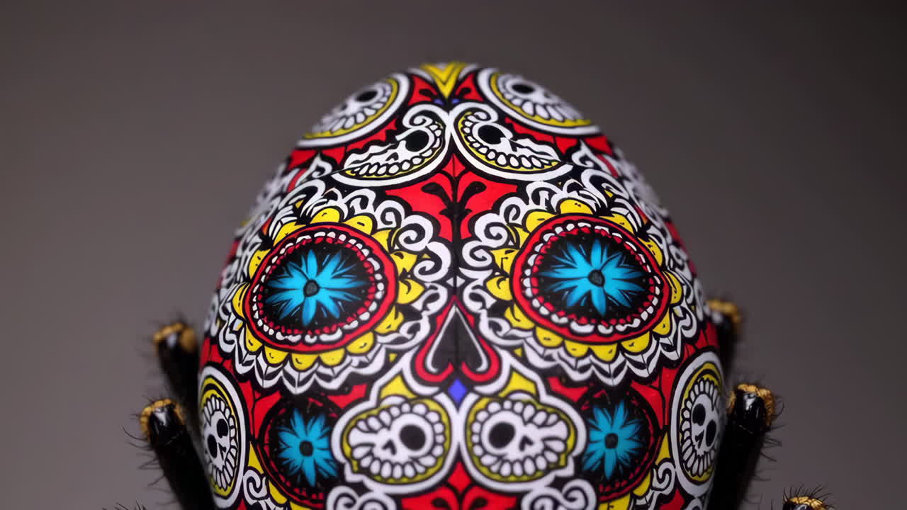 Close-up of a Sugar Skull Decorated Egg