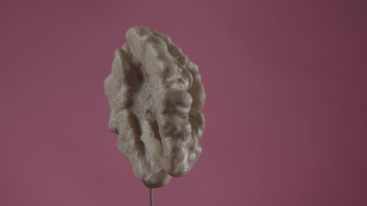 nuez girando con bucle en la pantalla de fucsia para la llave de croma