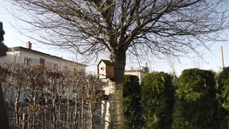 Casita-Para-Pájaros-Colgando-De-Un-árbol-En-Un-Jardín