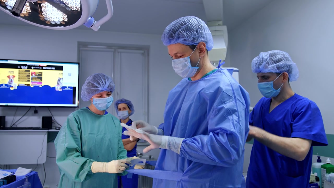 Male assistant ties the robe to the surgeon. Doctor fixes the latex gloves on his hands. Preparation for the neurosurgery.