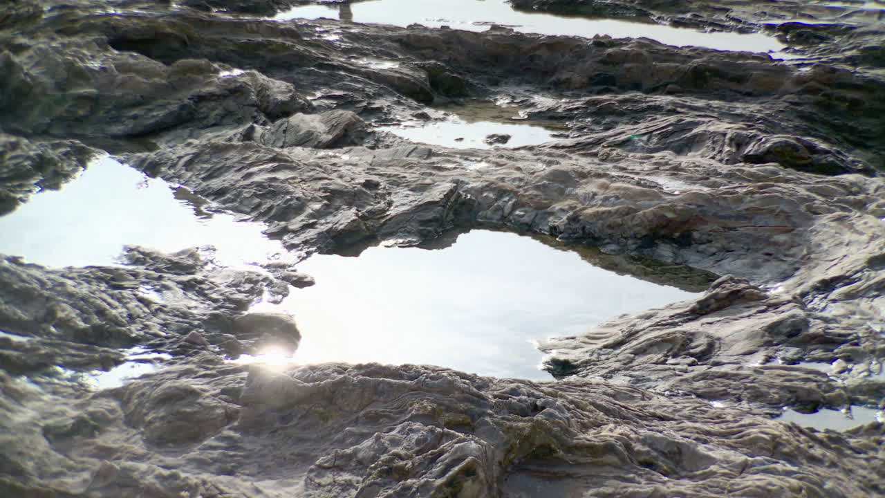 Closeup of a tidepool in Newport Beach, CA.