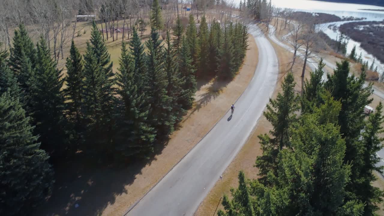 숲 4k의 시골 도로를 통해 자전거 타는 자전거 타기