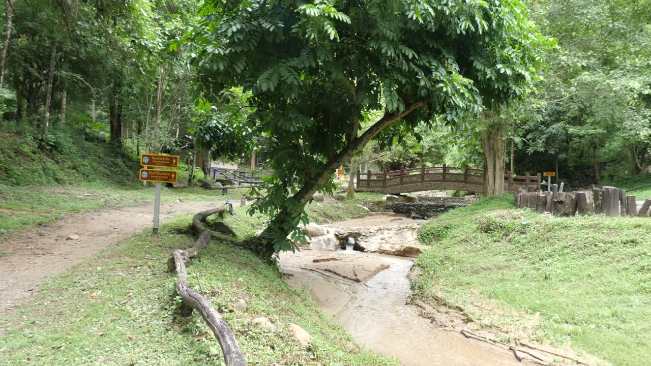 Tranquil hot spring in Pai flows beneath forest vegetation canopy
