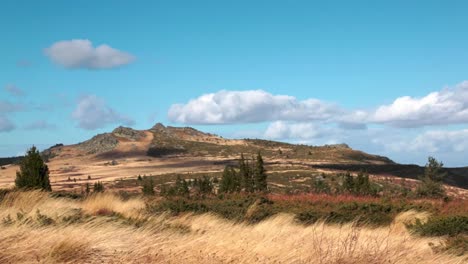paisaje de montaña con hierba dorada en un día de viento