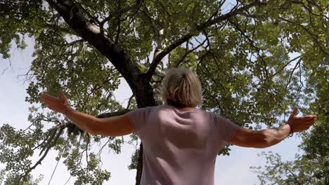 slow rotating shot of an elderly woman meditating and lifting her arms under a tree