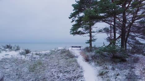 Beautiful-aerial-establishing-view-of-Baltic-sea-coast-on-a-overcast-winter-day,-beach-with-white-sand-covered-by-snow,-coastal-erosion,-climate-changes,-wide-angle-drone-shot-moving-forward