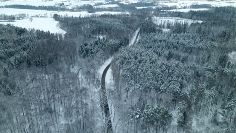 Fresh-white-snow-on-pine-trees-in-a-forest-near-deby-Poland-with-a-black-asphalt-splitting-the-forest-in-two