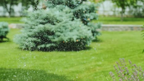 primer plano de riego del jardín, la hierba y las flores en el parque, gotas de agua en la luz del sol. sistema de riego automático para la hierba y las flores. gotas de water son salpicadas en la luz de sol.