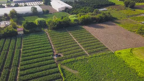 aerial view of agricultural farmland