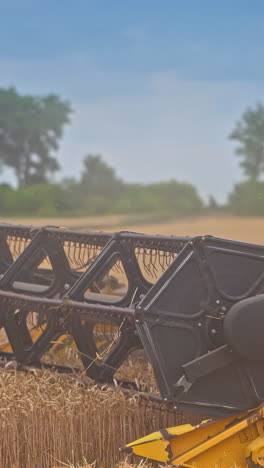 special machine cuts wheat. harvester mower mechanism cuts wheat spikelets