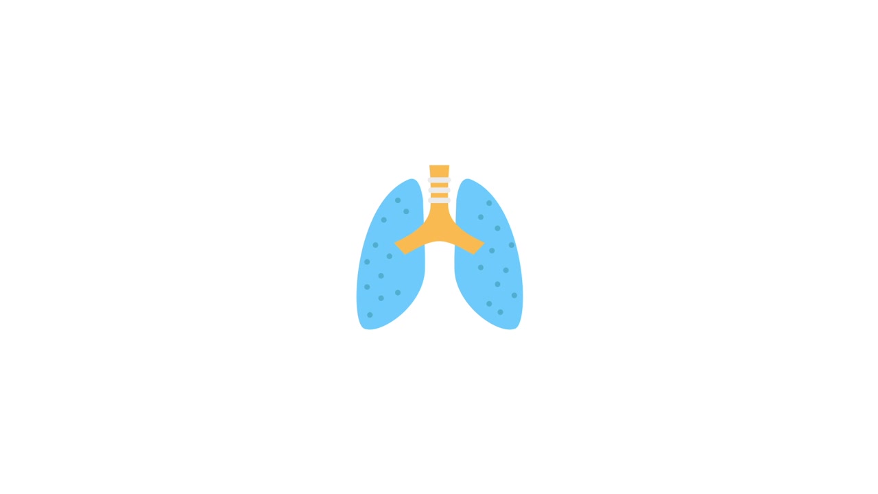 Illustrazione Animata di Polmoni Umani e Sistema Respiratorio