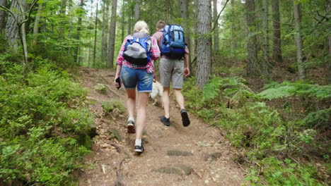 a man and a woman with a dog are walking along a path in the forest active and healthy lifestyle