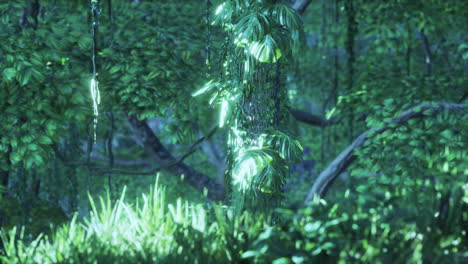 lush tropical jungle forest