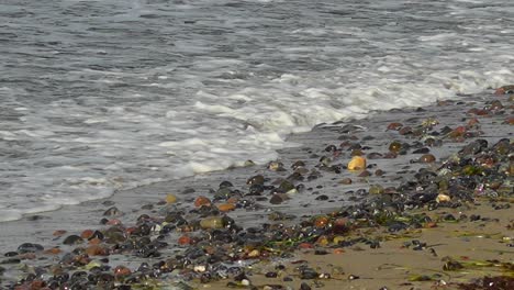 water washes over stones on the beach on a sunny summer day