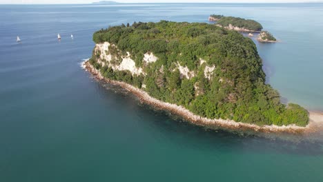 Isla-Hauturu-Cubierta-De-Vegetación-En-La-Península-De-Cormandel-En-La-Isla-Norte,-Nueva-Zelanda