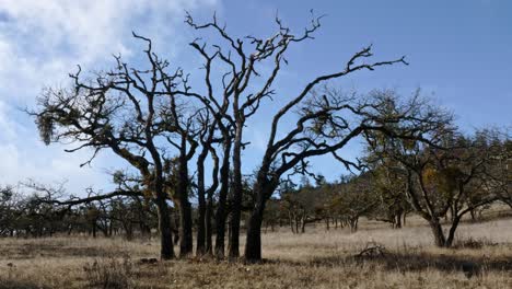 Ein-Blick-Auf-Die-Ostseite-Von-Roxy-Ann,-Rogue-Valley,-Südoregon