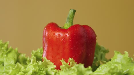 red bell pepper on lettuce