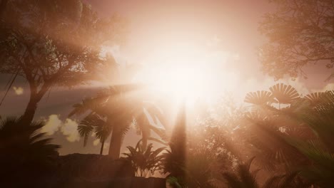 Sunset-Beams-through-Palm-Trees