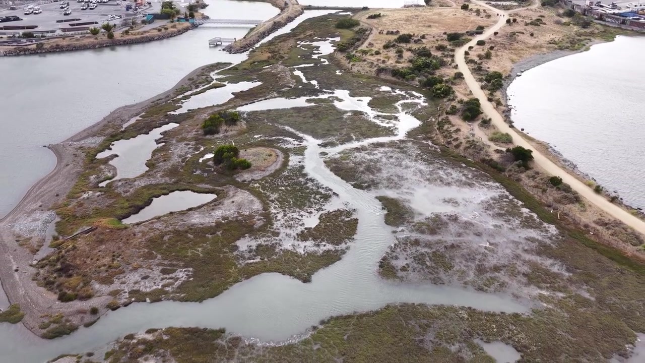 Drönarbild av Heron's Head Park i San Francisco, som visar tidvattenvåtmarker, slingrande stigar, saltkärr och kustvegetation i naturligt dagsljus. Perfekt för miljöteman.