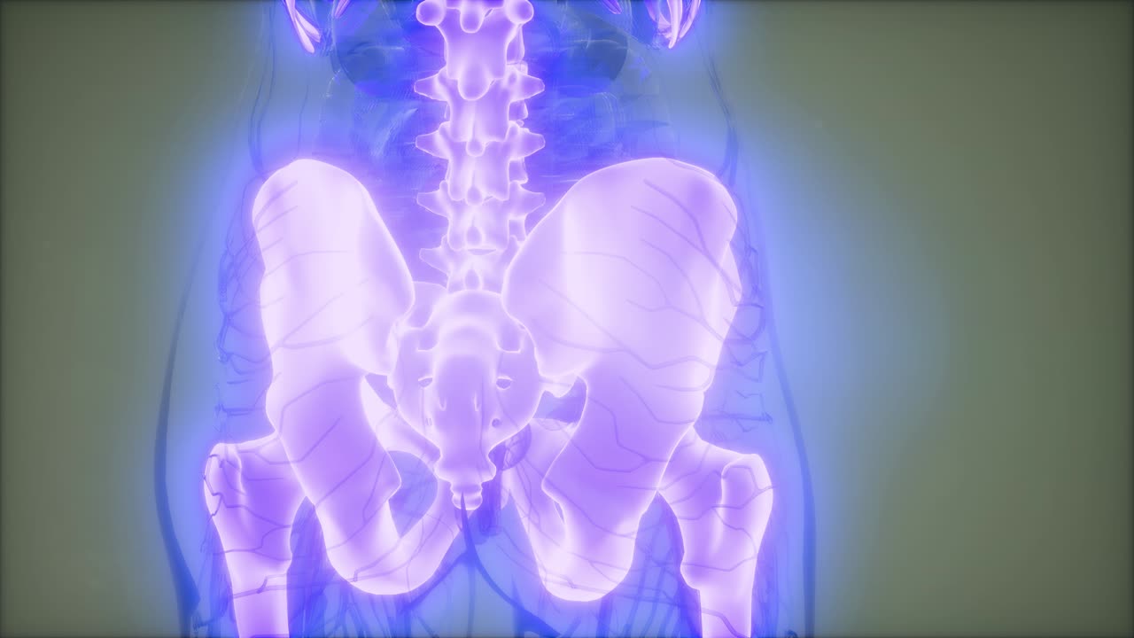 cuerpo humano transparente con huesos visibles