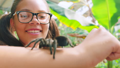 animales, naturaleza y chica con araña en el brazo