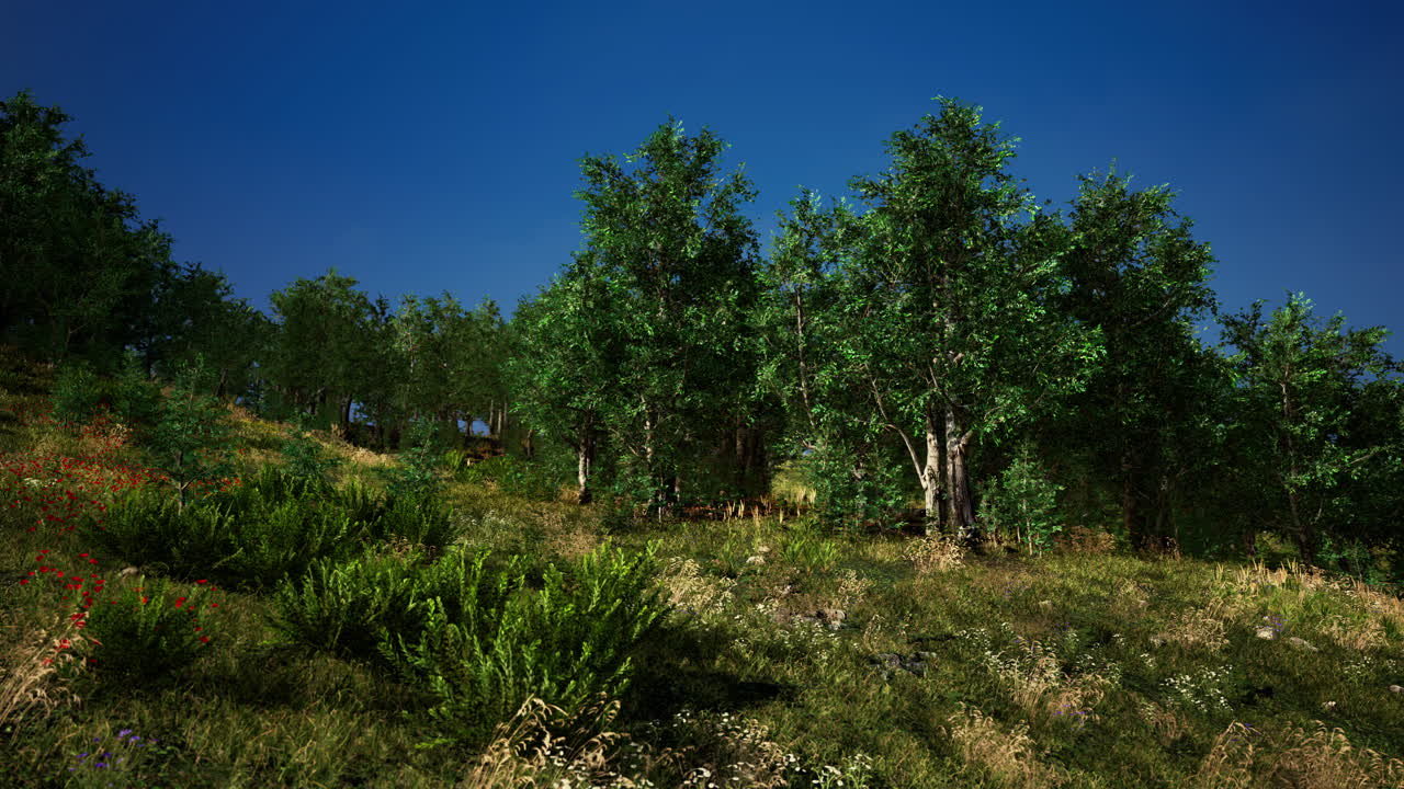 идиллический пейзаж в альпах с свежими зелеными лугами