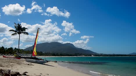 beach shot with palm tree, blue skies, clouds, sailboat and water