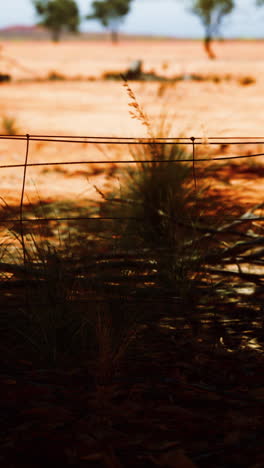 a wire fence in a red dirt field