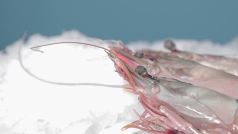 frozen shrimp on ice at a seafood market