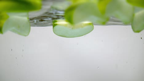 Slices-of-green-apple-adding-natural-flavor-to-fresh-drinking-water