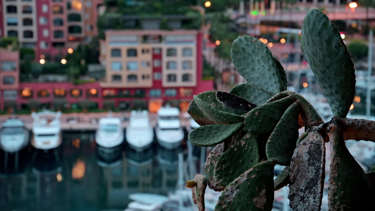 View of boats docked in the Port de Fontvieille with the skyline of Monaco on the background in the evening