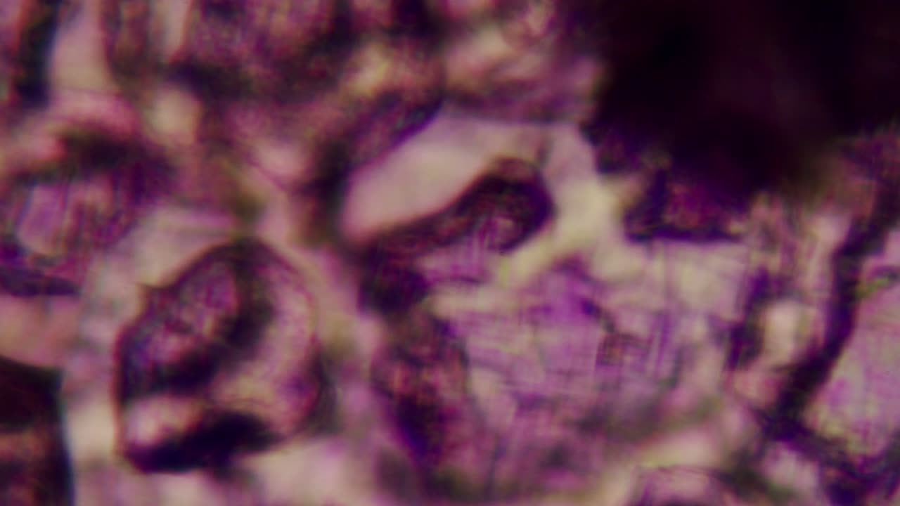 Vista microscopica astratta di cellule organiche viola in movimento