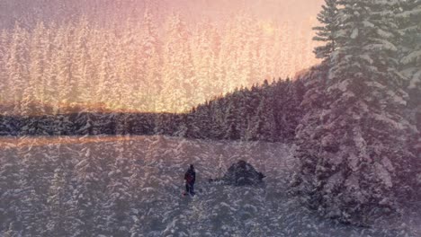 animación de una persona en un bosque cubierto de nieve durante el invierno