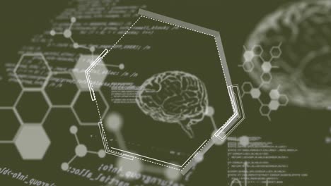 animación del procesamiento de datos y el cerebro en fondo negro