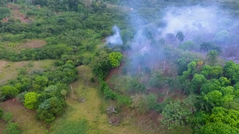 Aerial-view-towards-smoke-and-burnt-woods,-in-the-tropical-Jungles-of-Central-Africa---dolly,-drone-shot