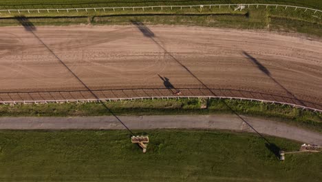 aerial top down of horse walking on racecourse during sunny day - silhouette of horse on sandy ground