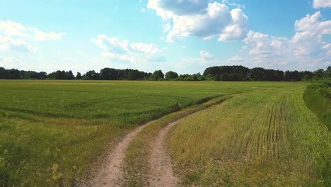 rural road going through farmlands during summer evening