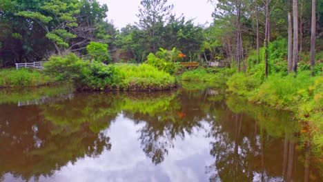 Drone-flying-slowly-over-pond-in-park-at-Jarabacoa,-Dominican-Republic