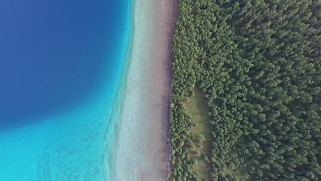 Aerial-drone-shot-top-view-over-forest-and-lake-Khuvsgul-Mongolia.-Sunny-day