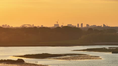 warm sunrise illuminated nature reserve near hendrik-ido-ambacht, netherlands