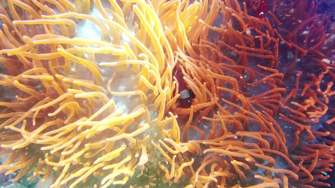 un lugar que llame hogar