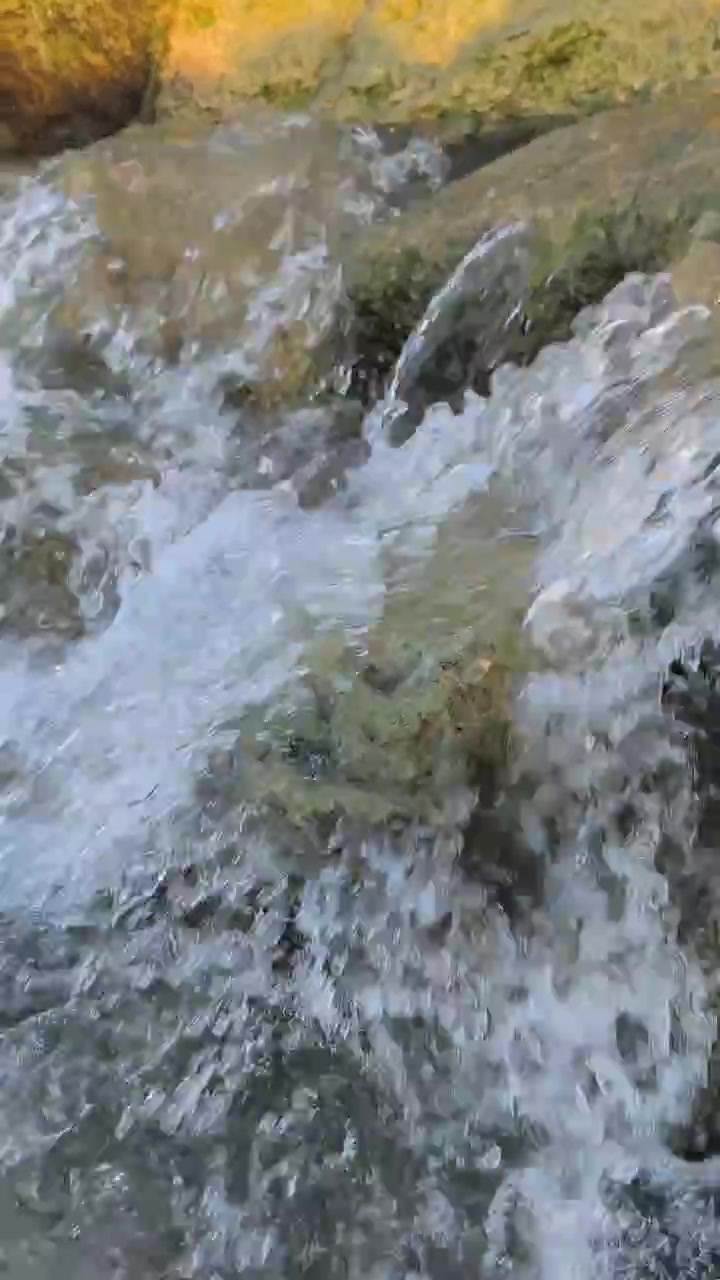 Acqua limpida che scorre su rocce muschiose in un ruscello