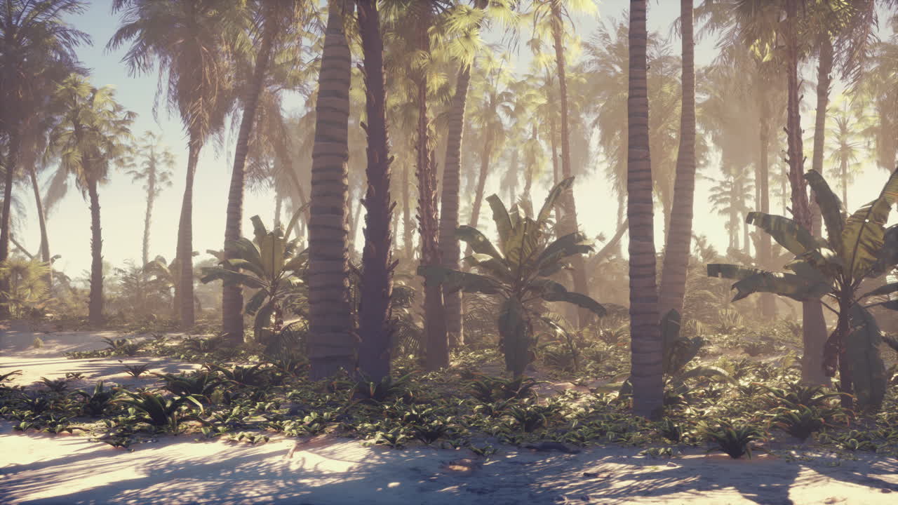 Tropical Paradise: Lush Palm Tree Forest on a Sunny Beach