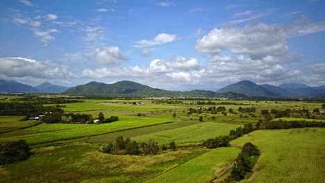 imágenes aéreas de campos de caña de azúcar en yorkies knob, cerca de cairns, queensland, australia