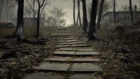 old-abandoned-garages-in-the-forest