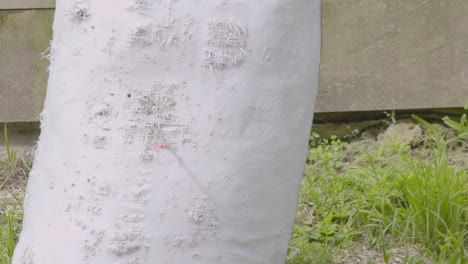 a slow motion shot of an arrow being fired into an archery bag